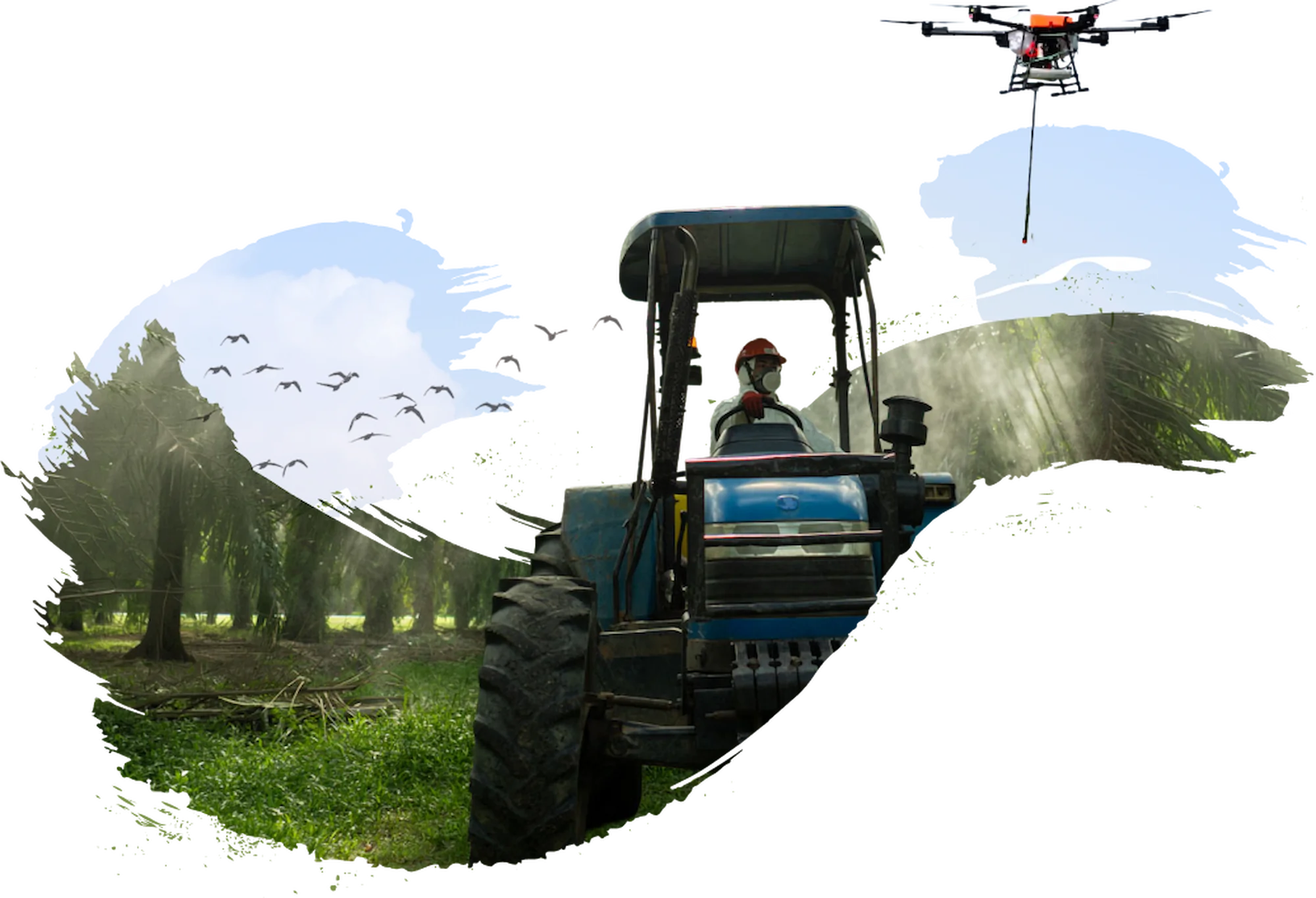 An SD Guthrie estate at work – a field-team member driving through the palms while an agricultural drone works overhead and birds cross a bright sky.